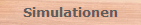 Simulationen